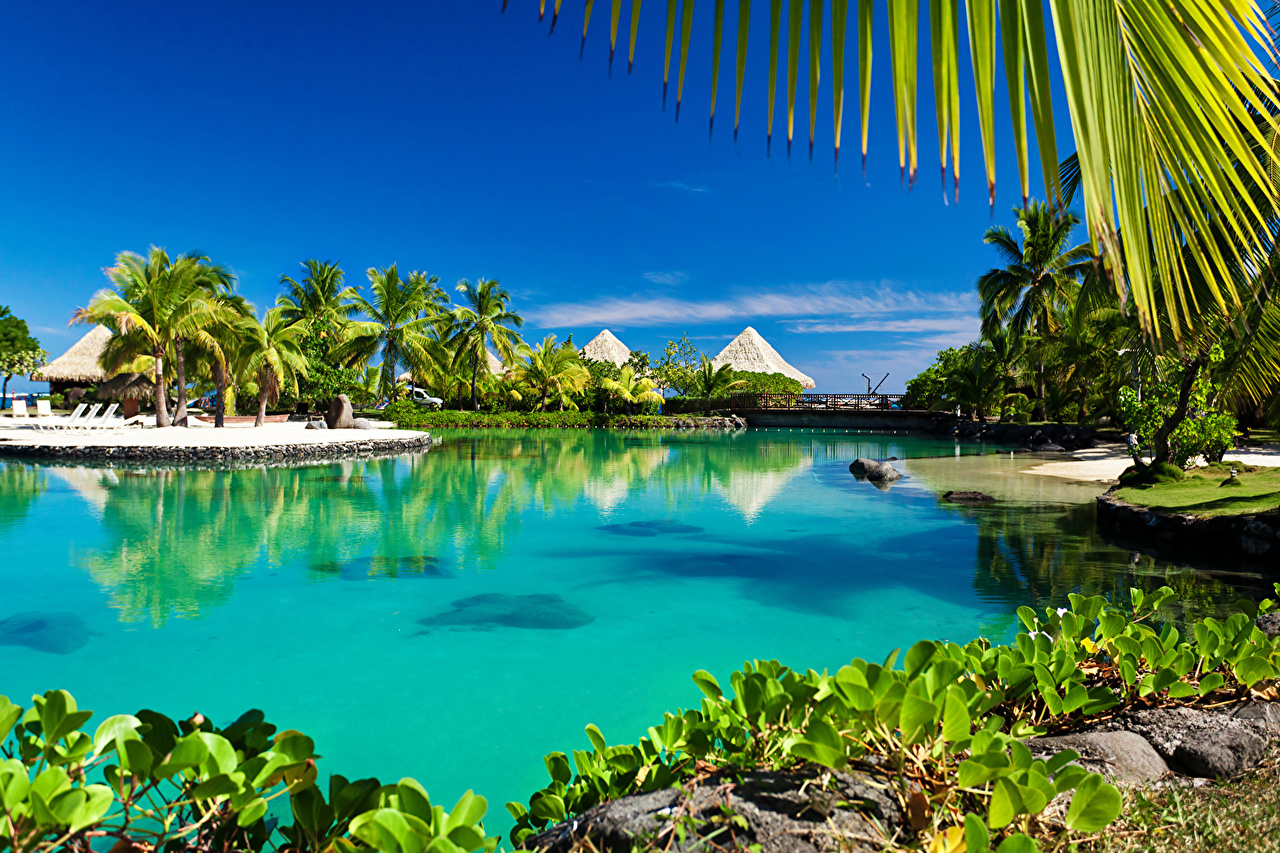 Wallpaper Bora Bora French Polynesia Bungalow Nature Tropics palm