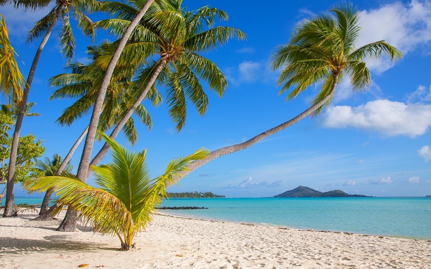 nature, Landscape, Tropical, Bora Bora, Beach, Island, White, Sand, Sea, Palm Trees, Summer, French Polynesia Wallpaper HD / Desktop and Mobile Background