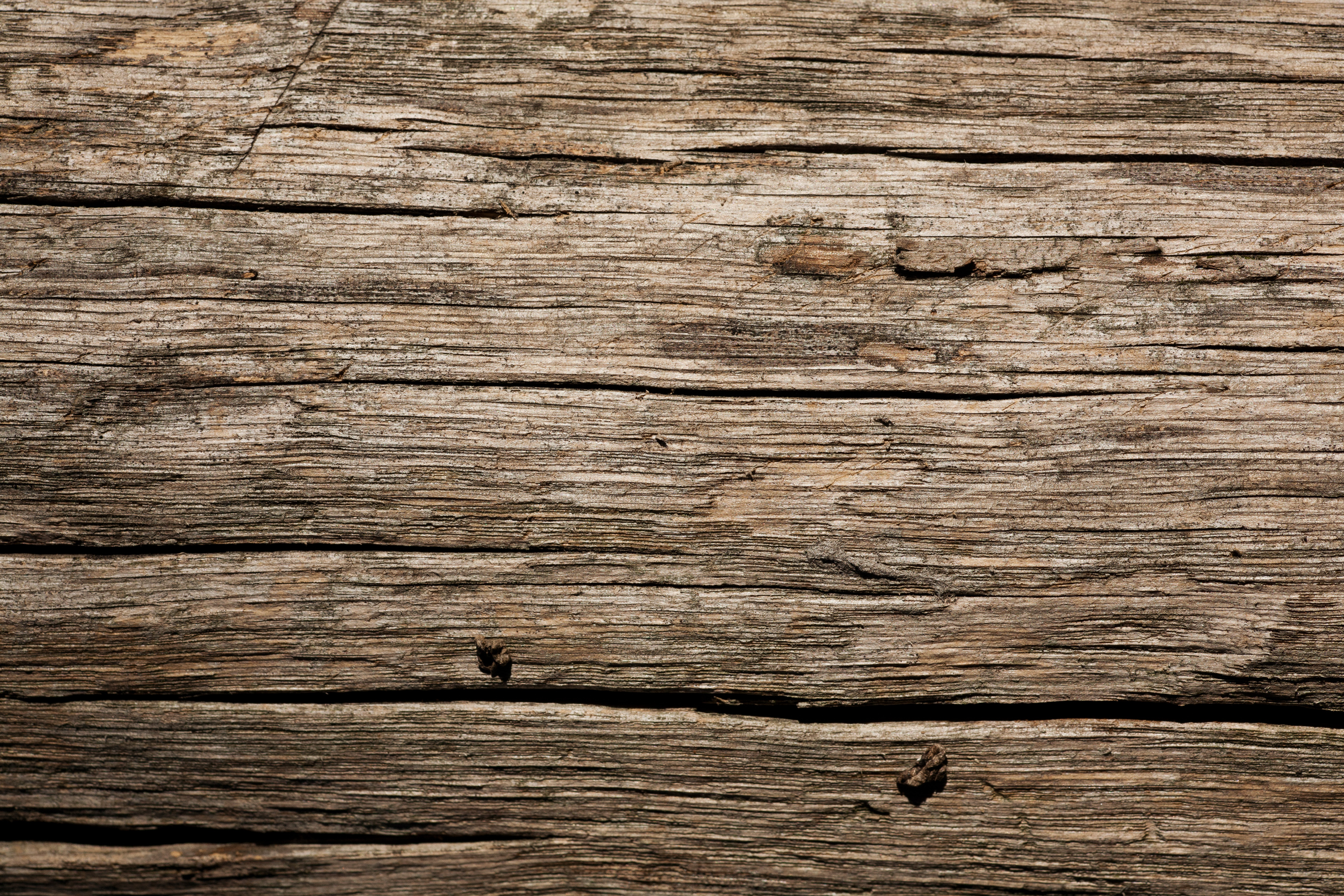Free photo: Old Wood, Rot, Texture