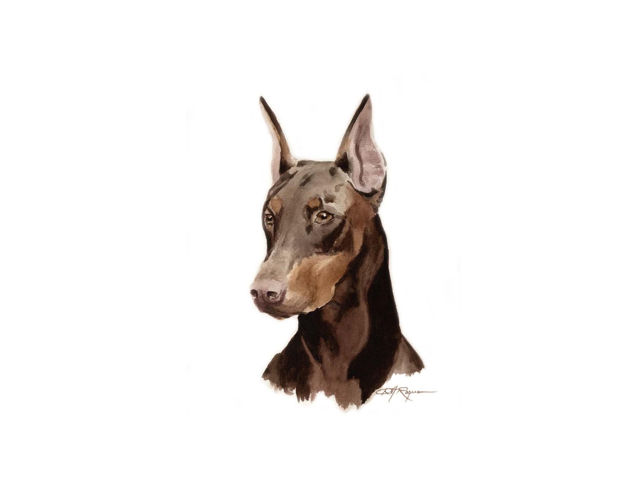 Doberman Wallpaper