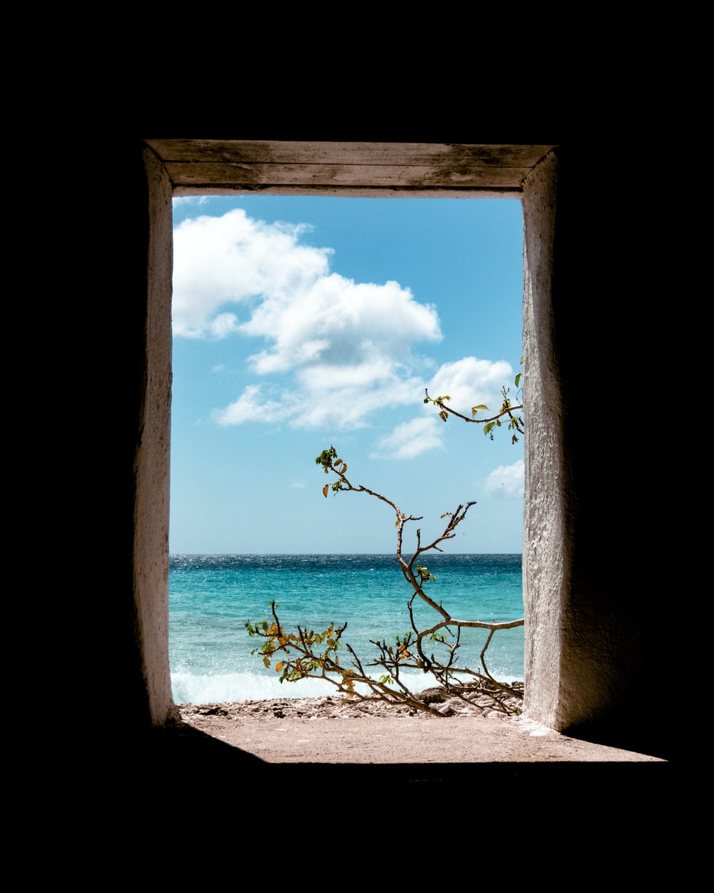 Bonaire Picture. Download Free Image