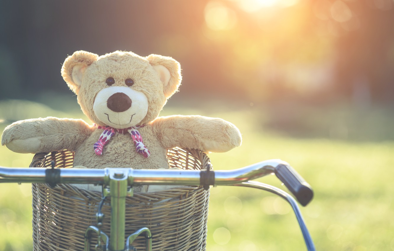 Wallpaper summer, sunset, bike, basket, toy, bear, bear, summer, vintage, bear, bike, retro, teddy, lonely, cute, lonely image for desktop, section настроения