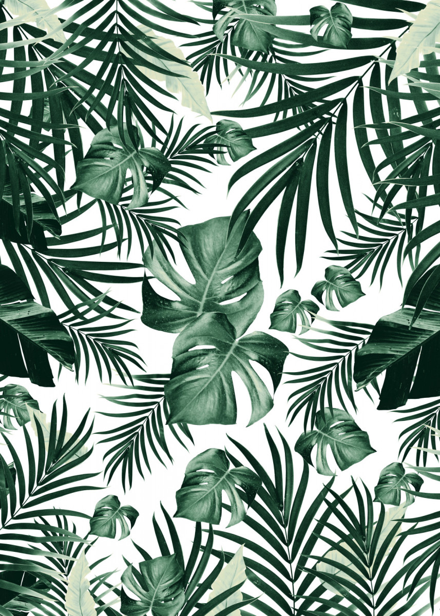Tropical Jungle Leaves 4a' Poster by Anita's & Bella's Art. Displate. Tropical wallpaper, Leaf photography, Plant wallpaper