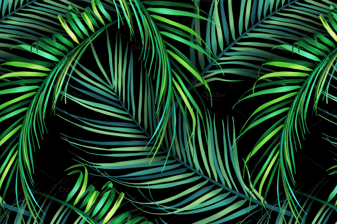 Jungle Palm Leaves Tropical Pattern Patterns On Creative Leaves Wallpaper HD Wallpaper & Background Download