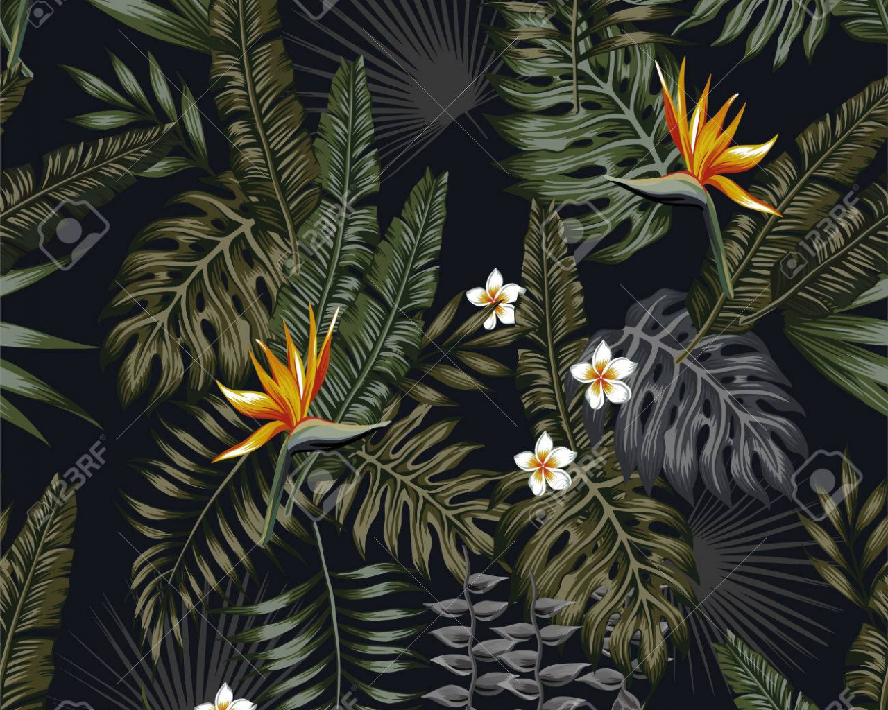 Free download Tropical Leaves And Flowers In The Night Style For Mens Prints [1299x1300] for your Desktop, Mobile & Tablet. Explore Jungle Print Wallpaper. Jungle Print Wallpaper, Jungle Wallpaper, Jungle Background