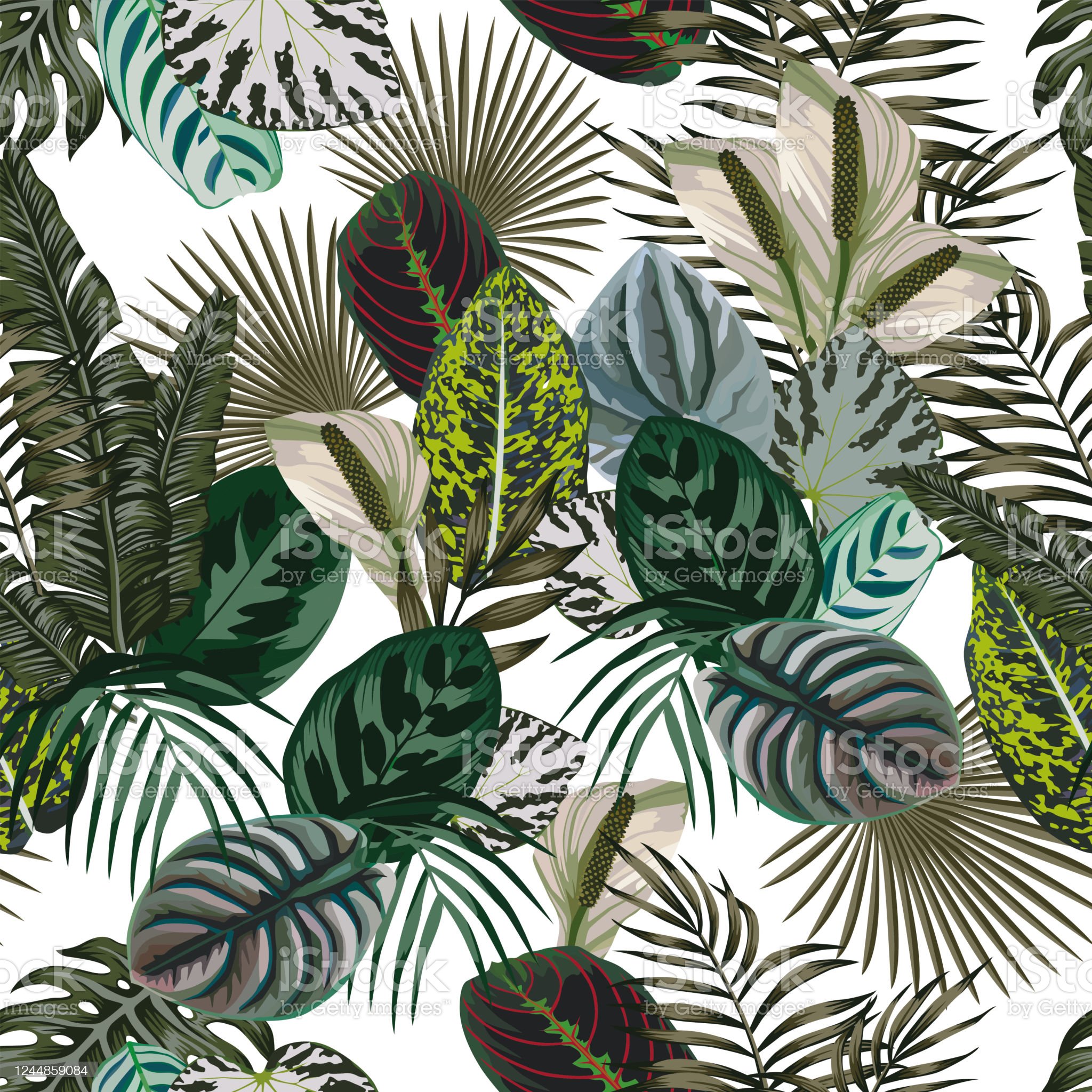 Jungle Leaves Flowers Dark Color Seamless Background Stock Illustration Image Now