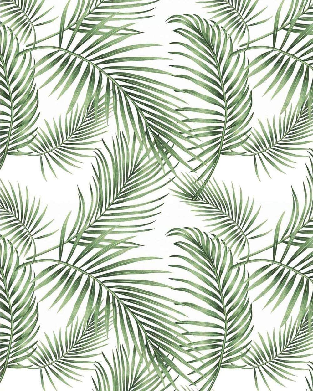 Tropical Palm Leaf Wallpaper Free Tropical Palm Leaf Background