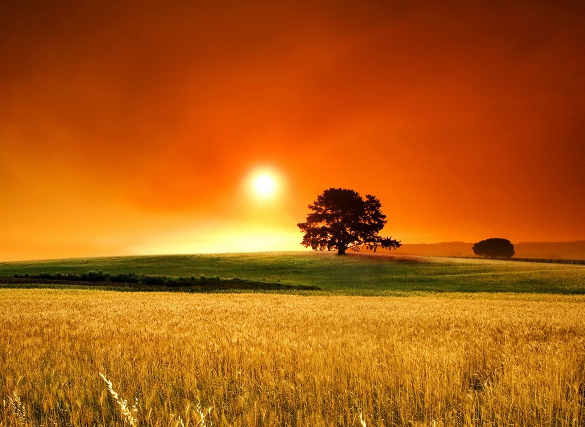 Country Sunset Wallpaper