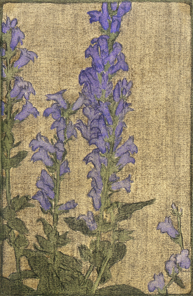 Larkspur Wallpapers - Wallpaper Cave