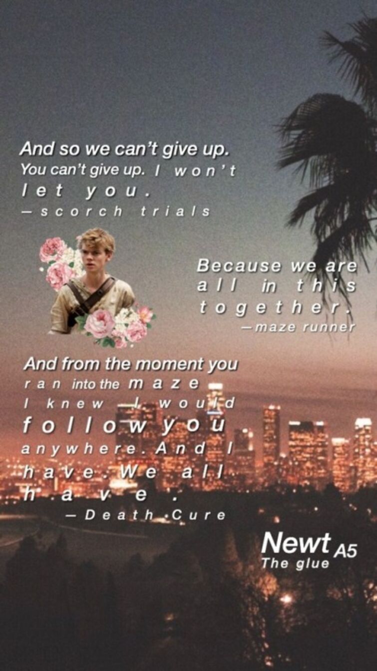 The Maze Runner wallpaper (I didn't make these) click to make bigger