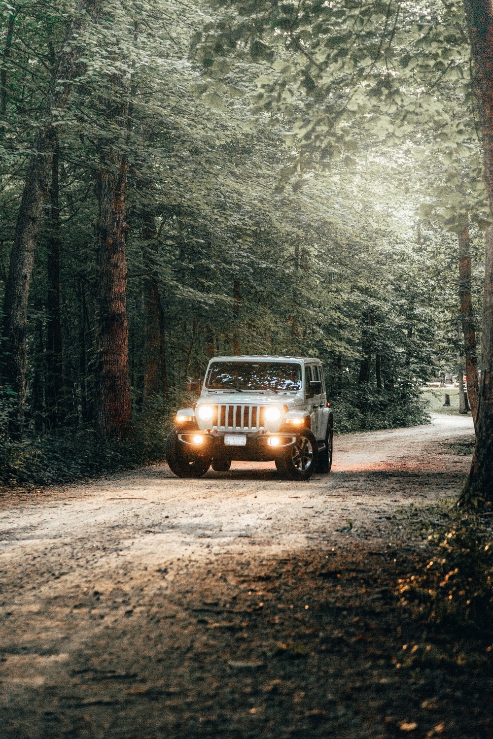 black car on dirt road in between trees photo