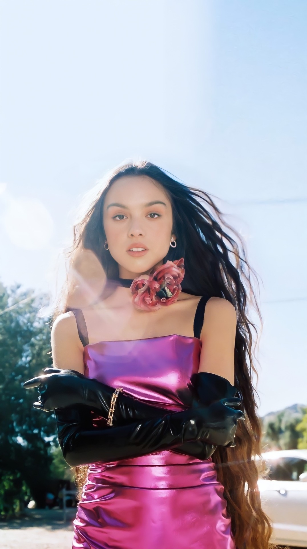 life in the egghouse✧*