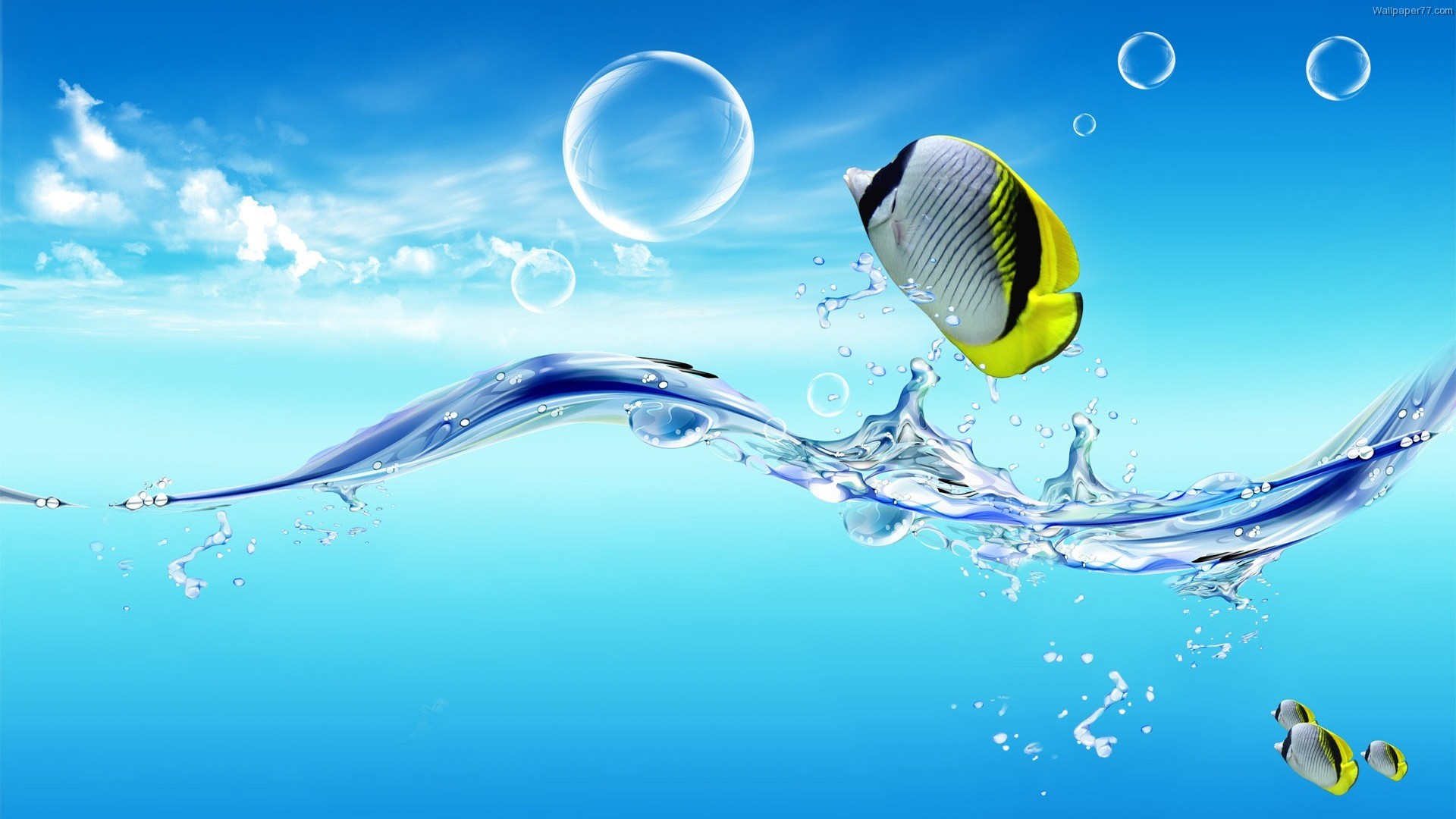 Waterlife, water, fish, ocean, wallpaper, sea, underwater