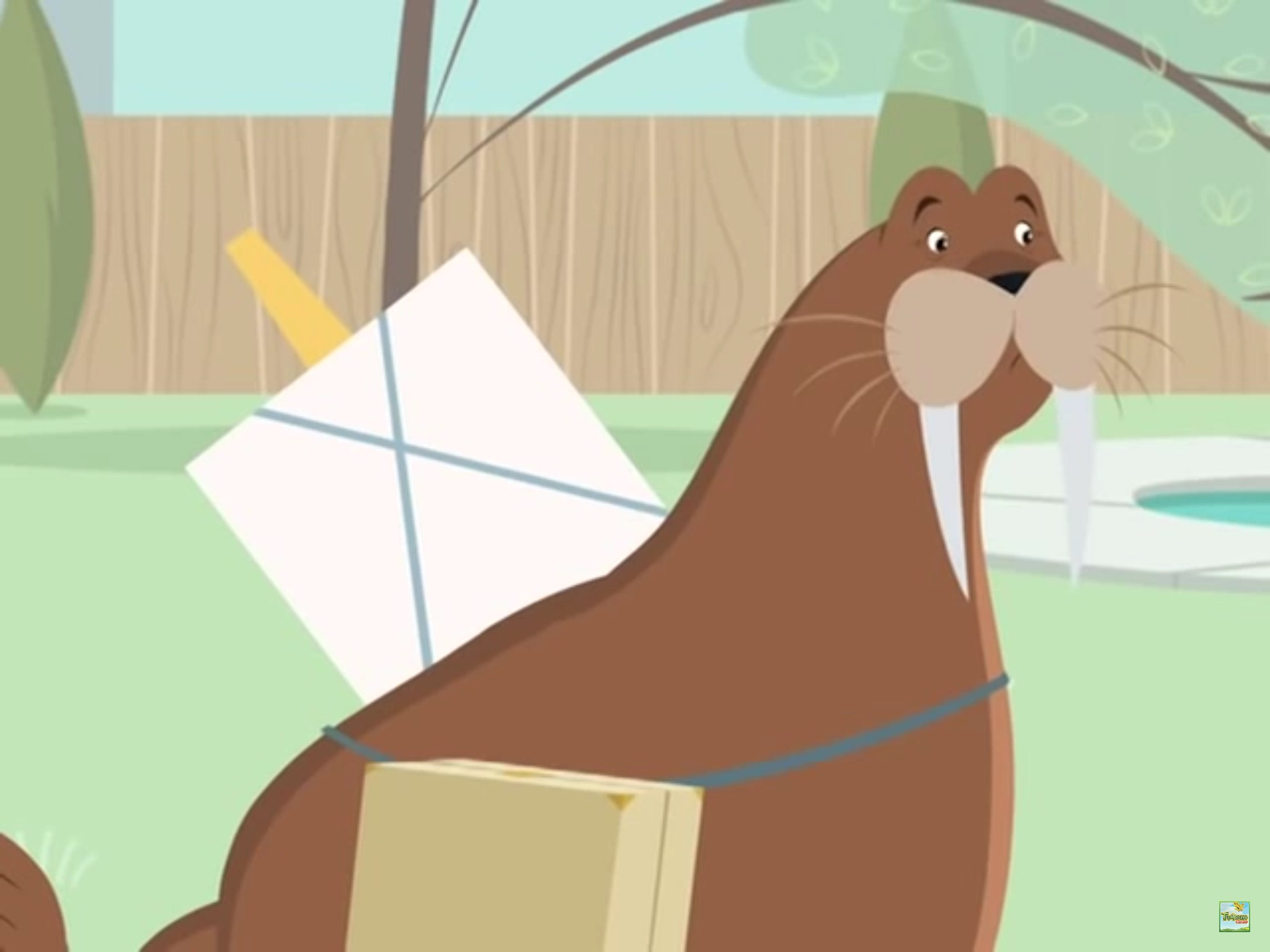 Wallace the Walrus. Willa's Wild Life