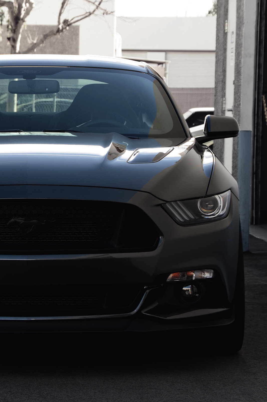 View Black Mustang Wallpaper Phone Picture