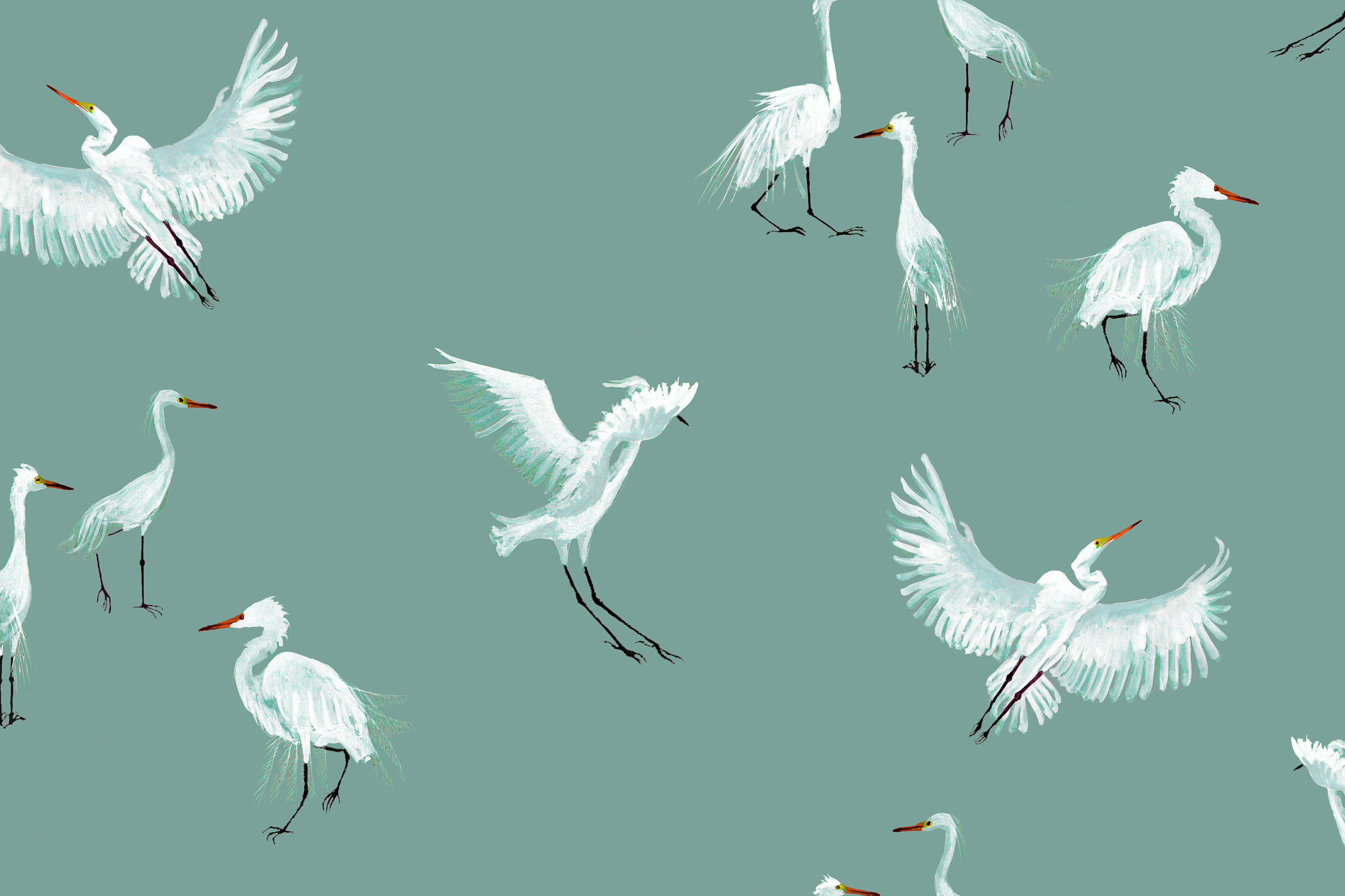 Egret Wallpapers - Wallpaper Cave