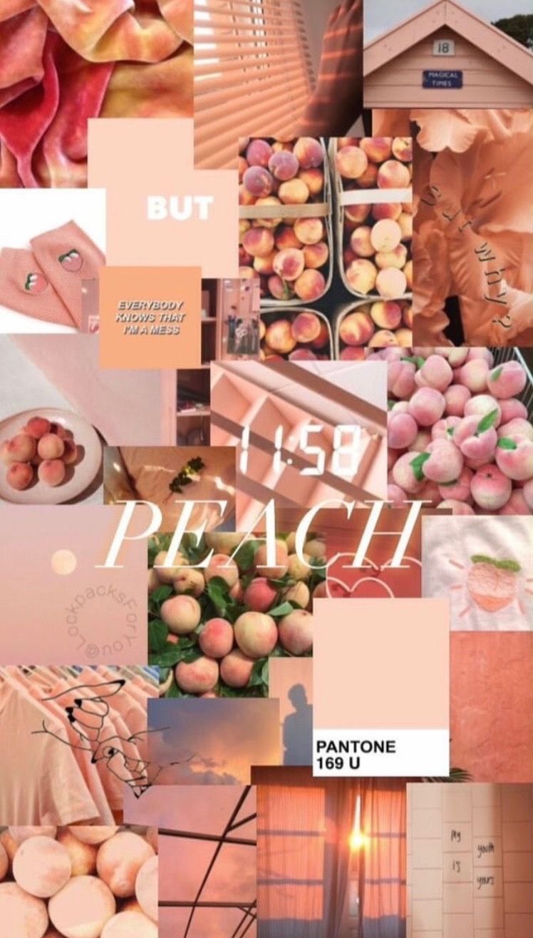 Peach Aesthetic Wallpaper