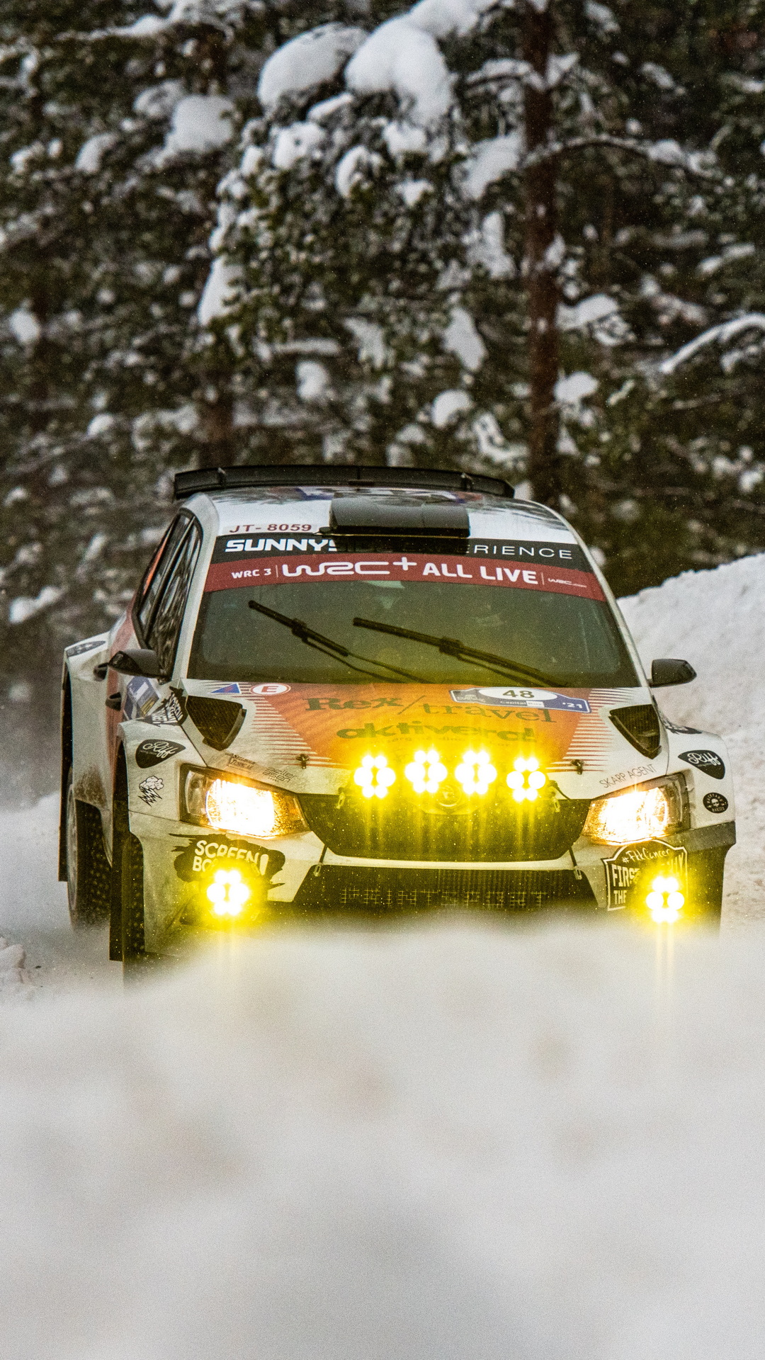 Download Arctic Rally Finland