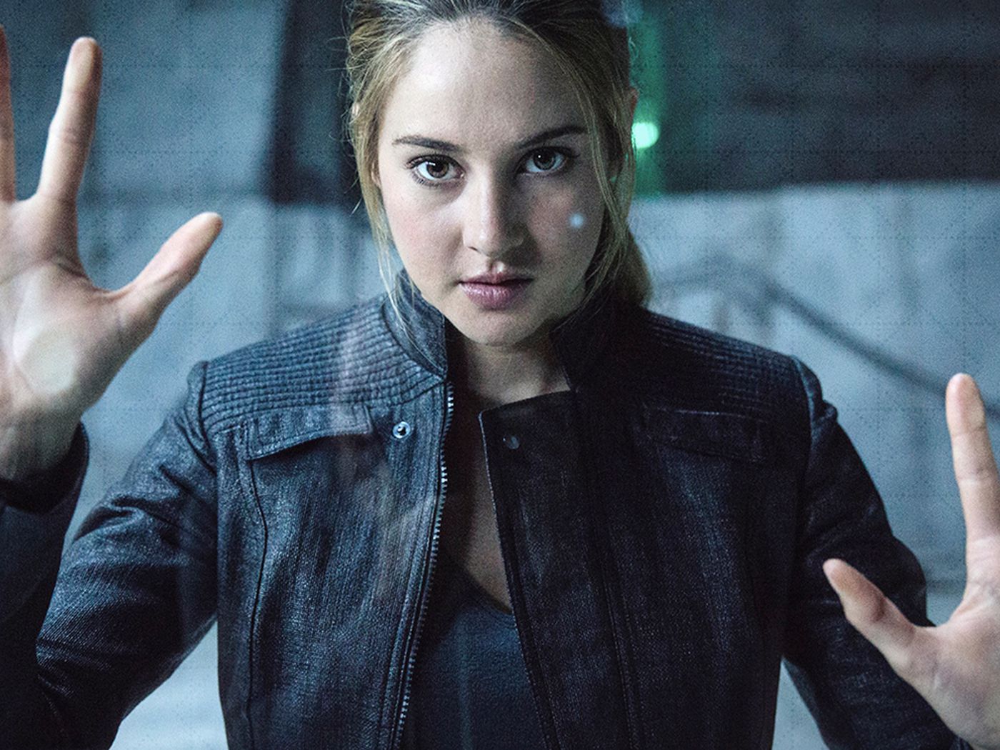 Everything you need to know about the Divergent series