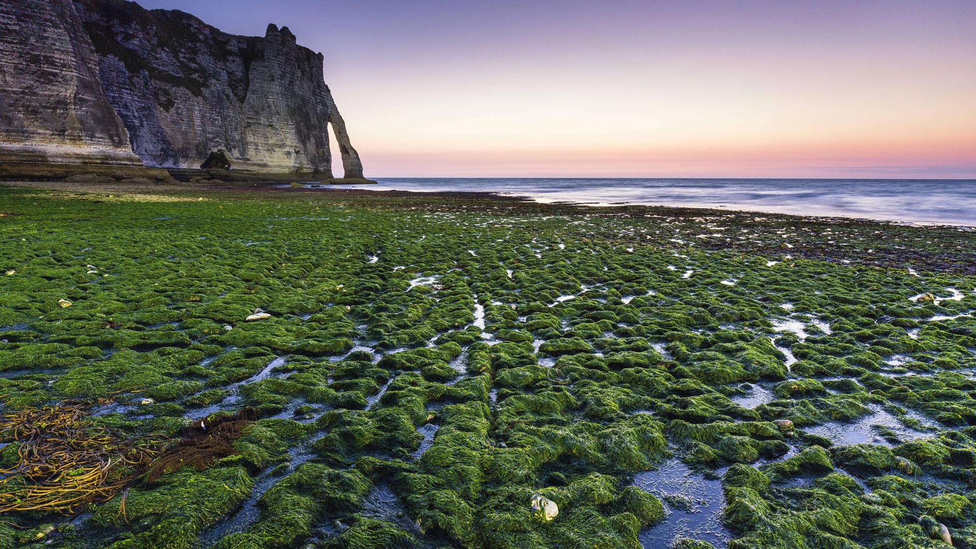 Green Kelp Covered Beach At Porte D'Aval At Dusk, Étretat, Seine Maritime, Normandy, France. Windows 10 Spotlight Image