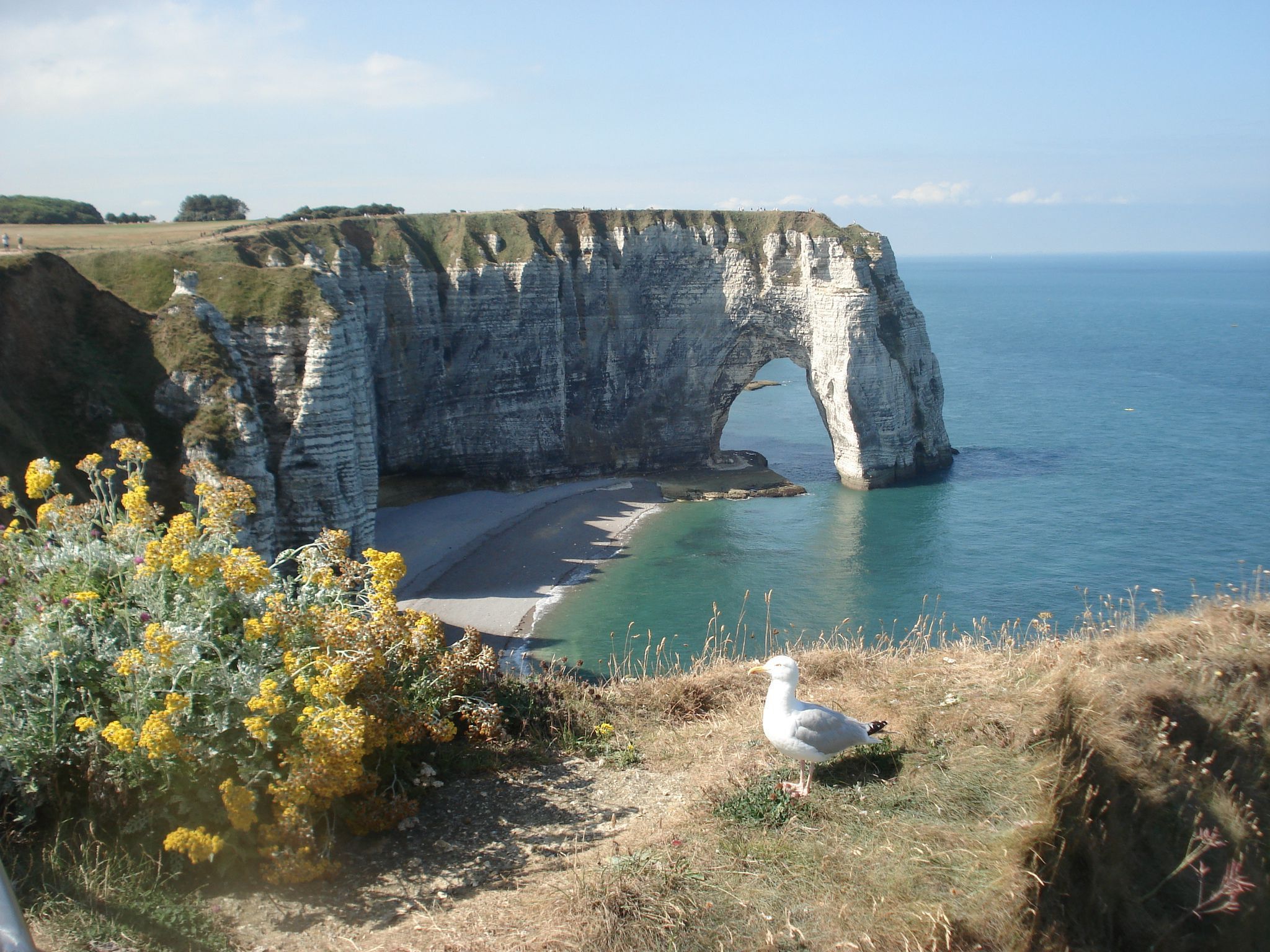 Download Latest HD Wallpaper of, Other Sites, Wds, 12345, The Cliffs Etretat