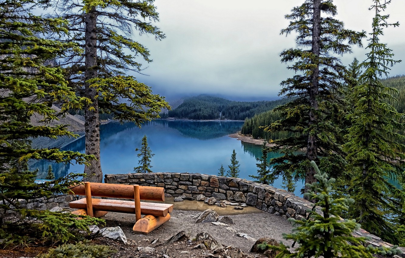 Wallpaper trees, bench, lake, ate, Banff National Park, Lake Moraine image for desktop, section пейзажи