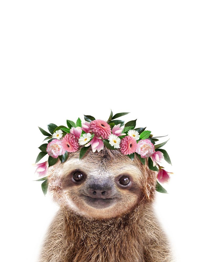 Baby Sloth With Flower Crown, Baby Animals Art Print By Synplus Carry All Pouch By Synplus #babysloth Baby Sloth W. Детеныш ленивца, Фото животных, Дикие животные