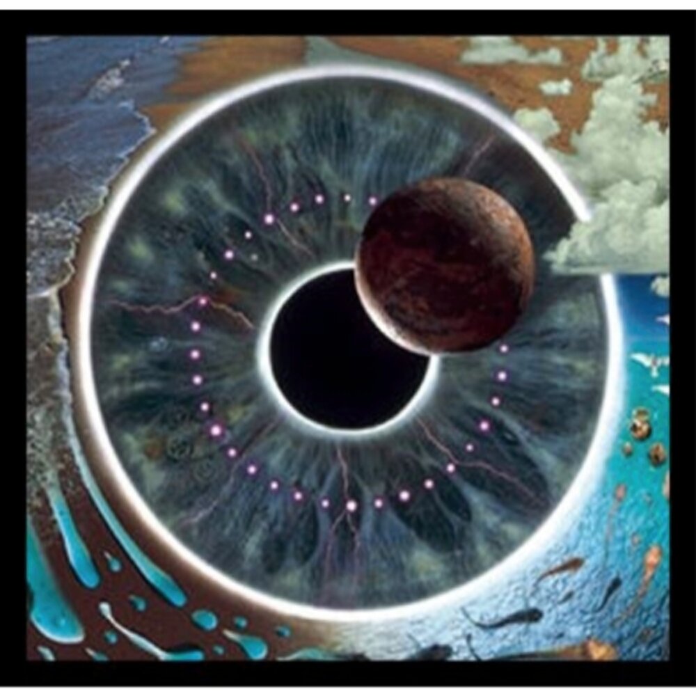 Breakwater Bay Pink Floyd Eyeball Vision