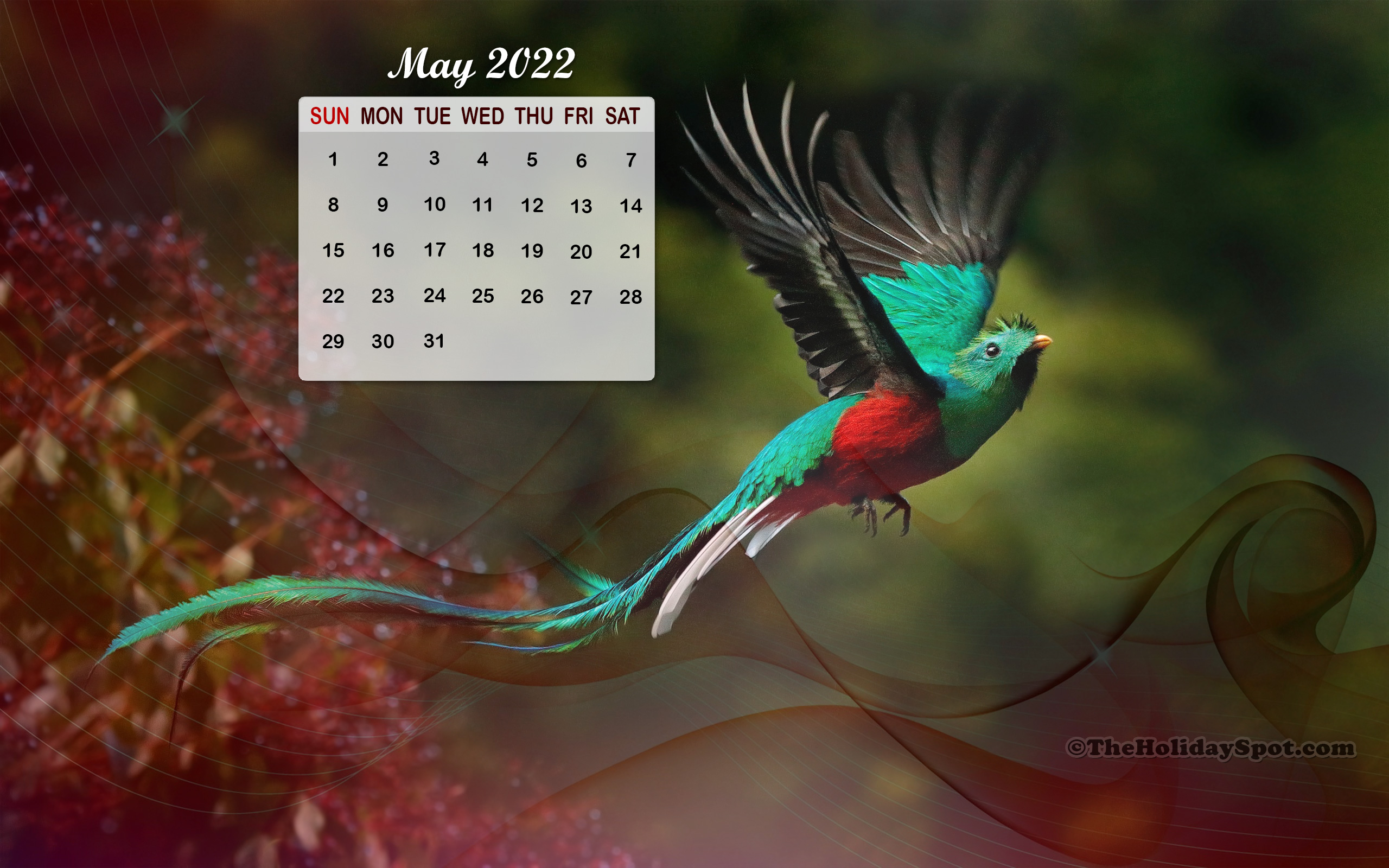 Month wise Calendar Wallpapers for 2022