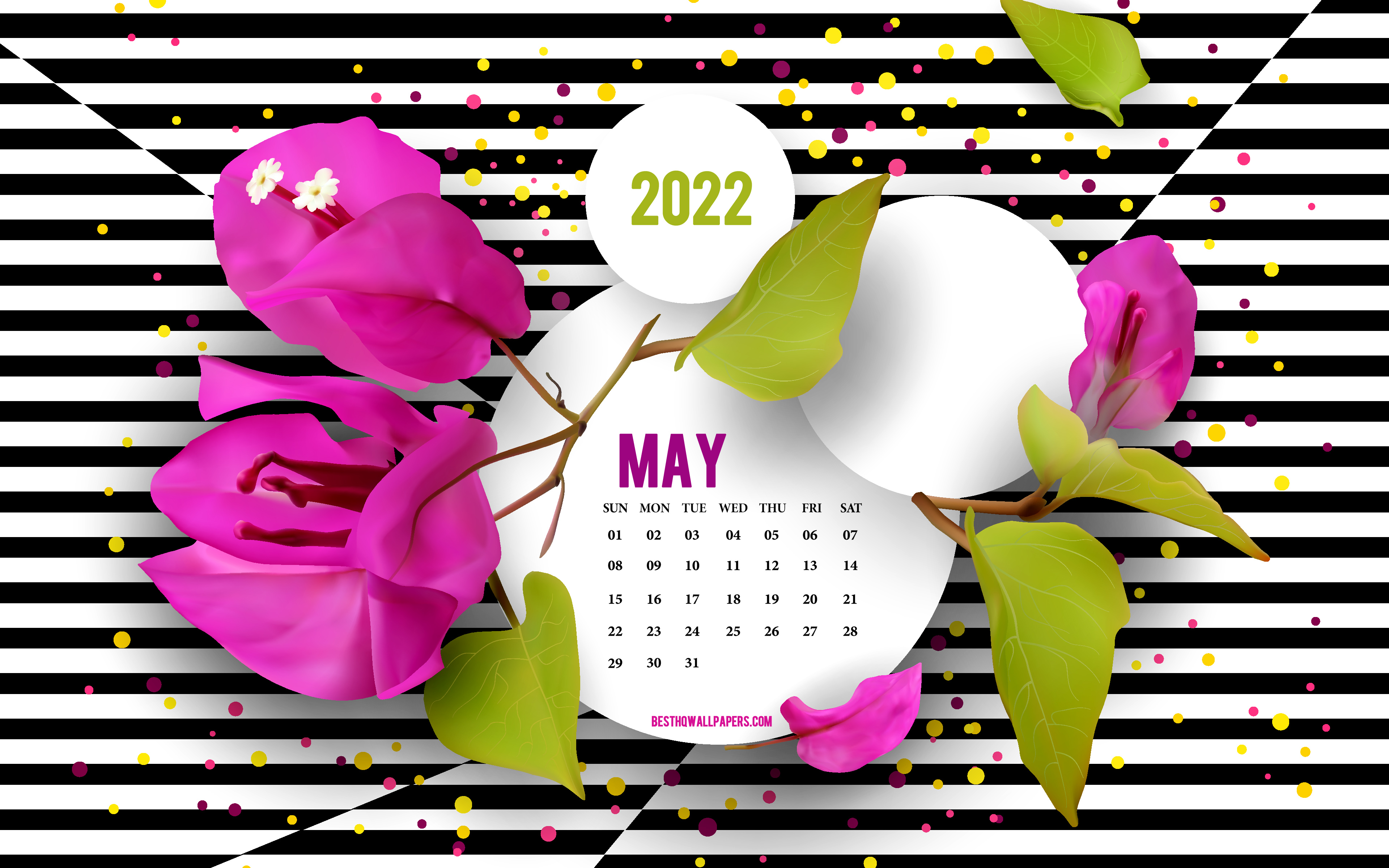 Download wallpapers 2022 May Calendar, 4k, backgrounds with flowers, creative art, May, 2022 spring calendars, black and white striped background, May 2022 Calendar, purple flowers for desktop with resolution 3840x2400. High Quality