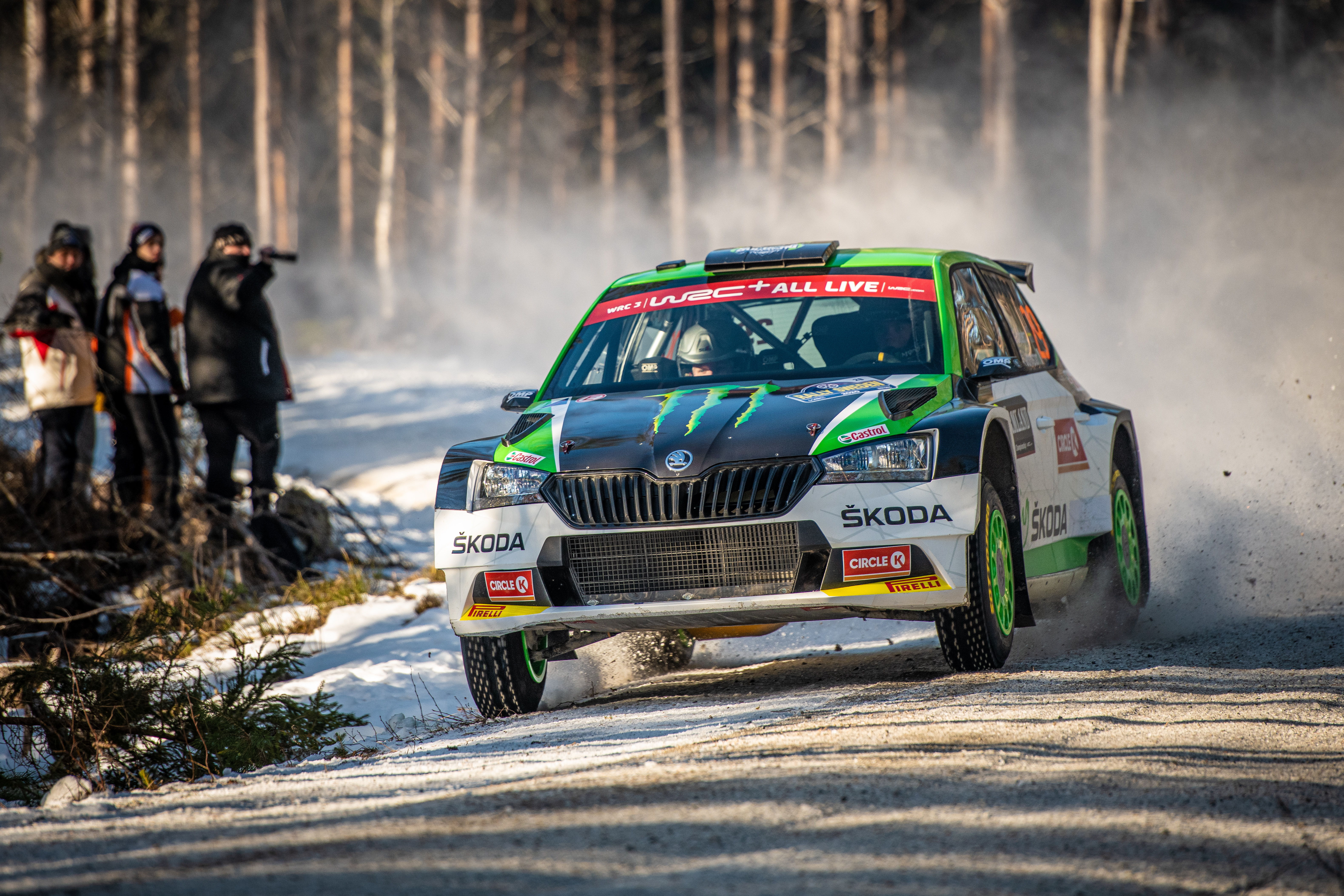 Skoda qarok Rally