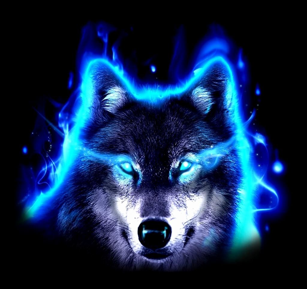 Neon Blue Wolf Wallpapers - Wallpaper Cave