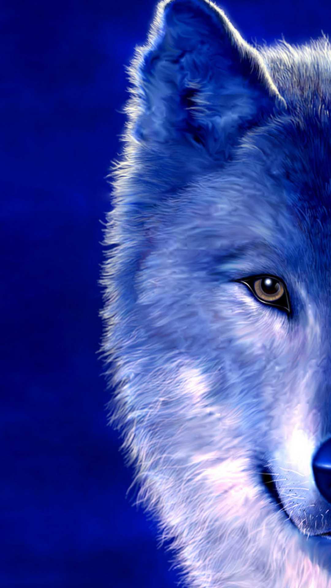 1080p Blue Wolf Wallpaper
