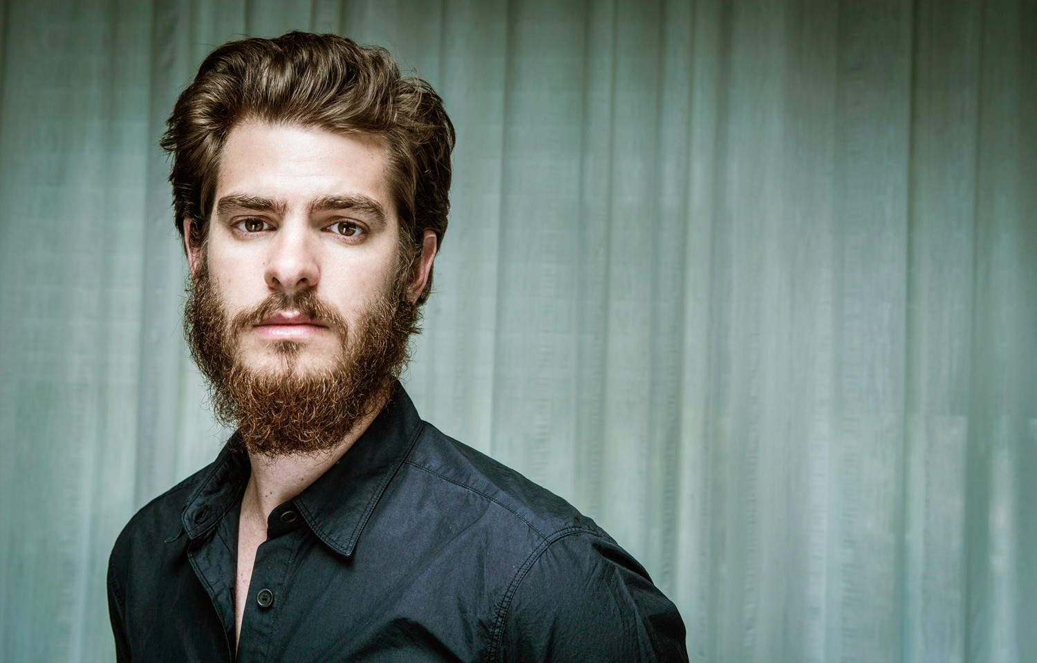 beard man wallpaper hd, facial hair, beard, hair, moustache, chin