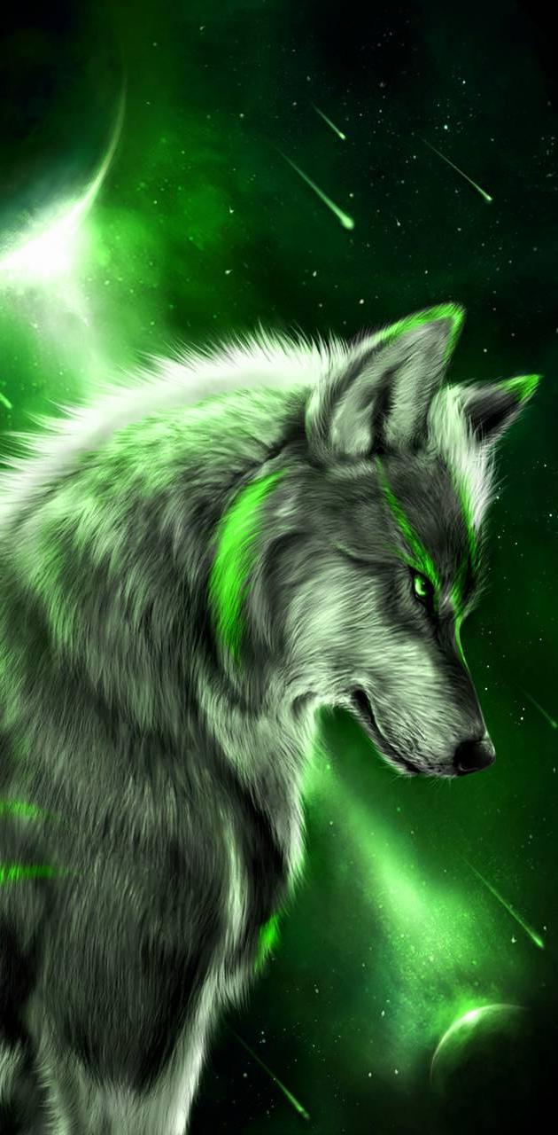 Color wolf wallpaper