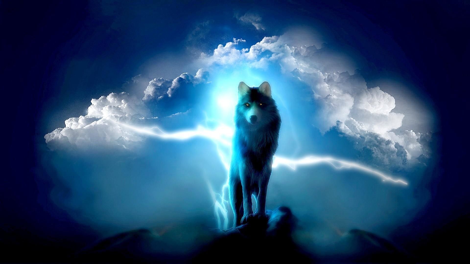 Light Wolf Wallpaper