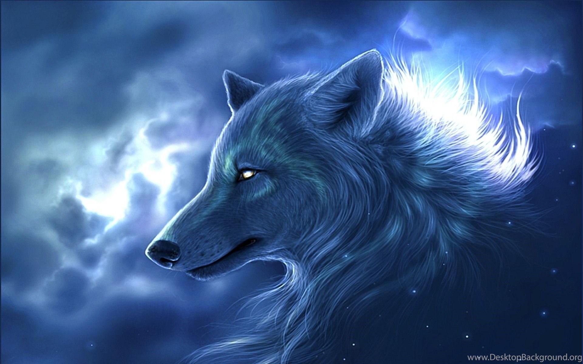 Wolf Wallpaper: Download Free Wolf Wallpaper HD Background. Desktop Background