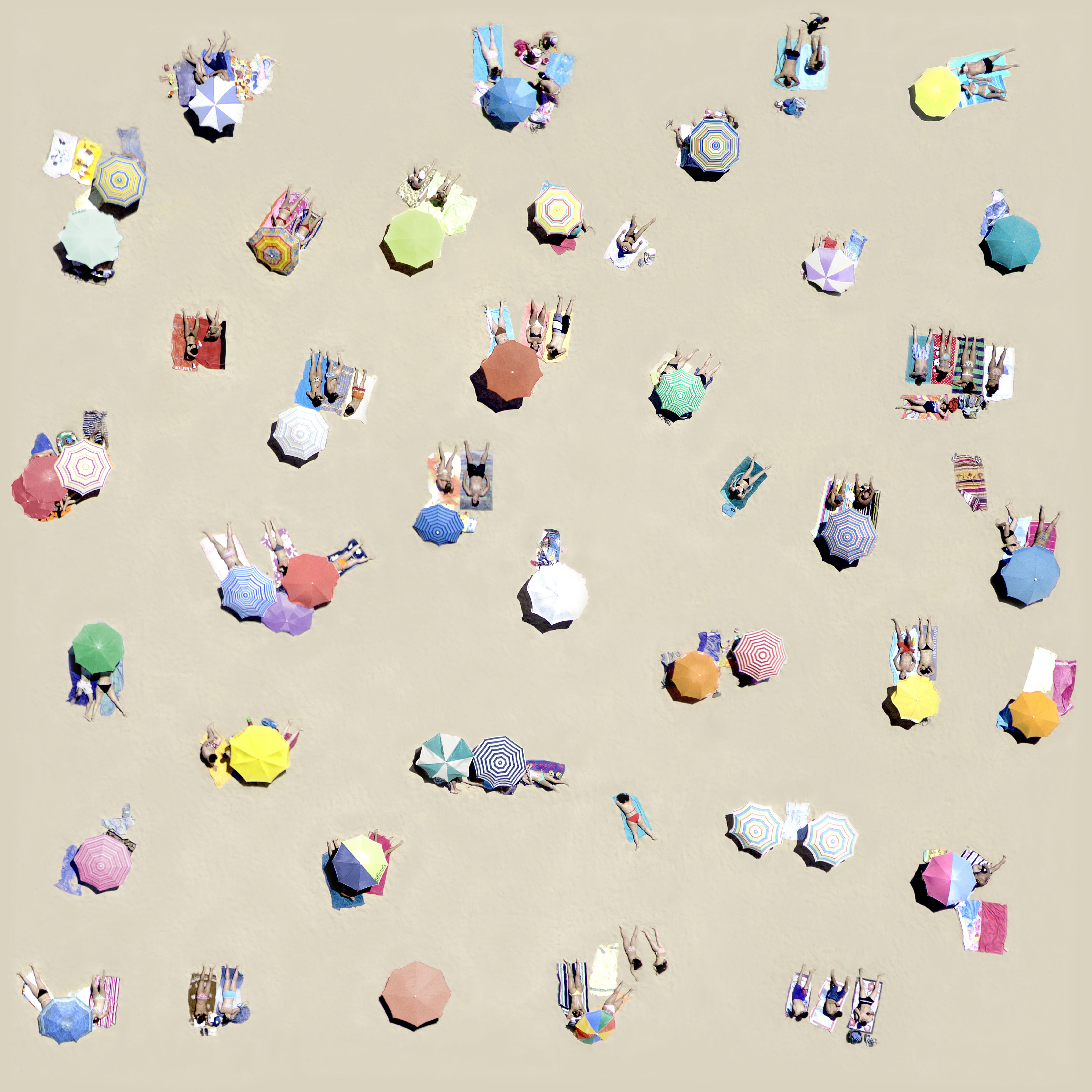 Gray's newest line of summer inspired wallpaper is here