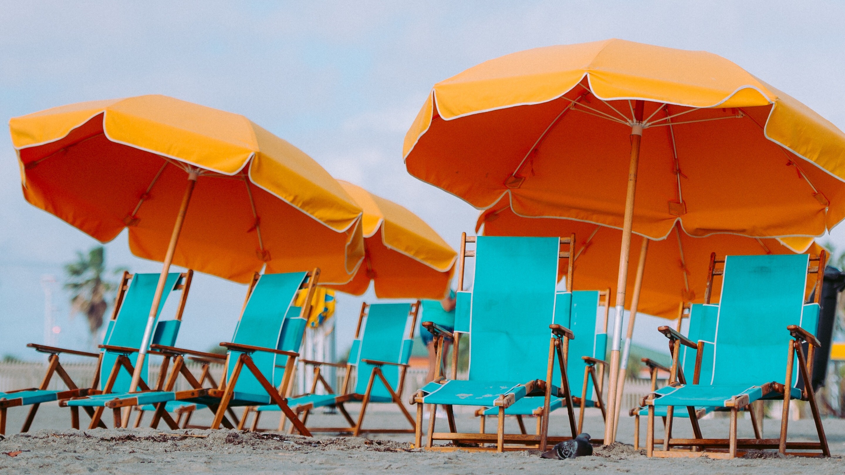 Deck Chairs and Umbrellas Sandy Beach Wallpaper