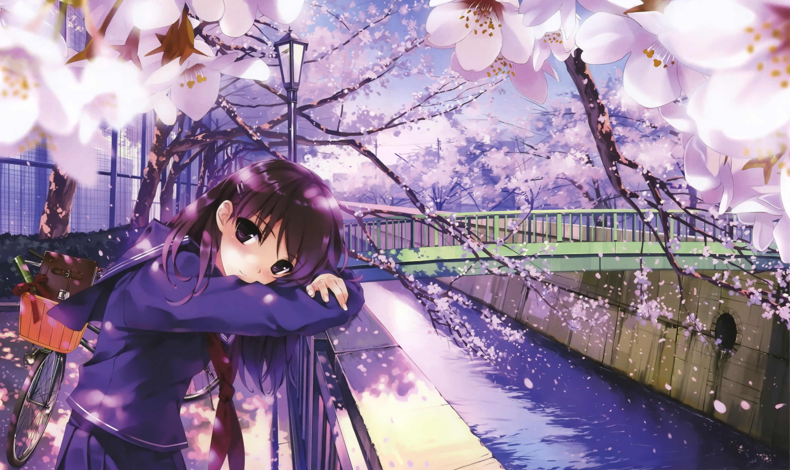 Anime Girl Under Cherry Blossom Tree