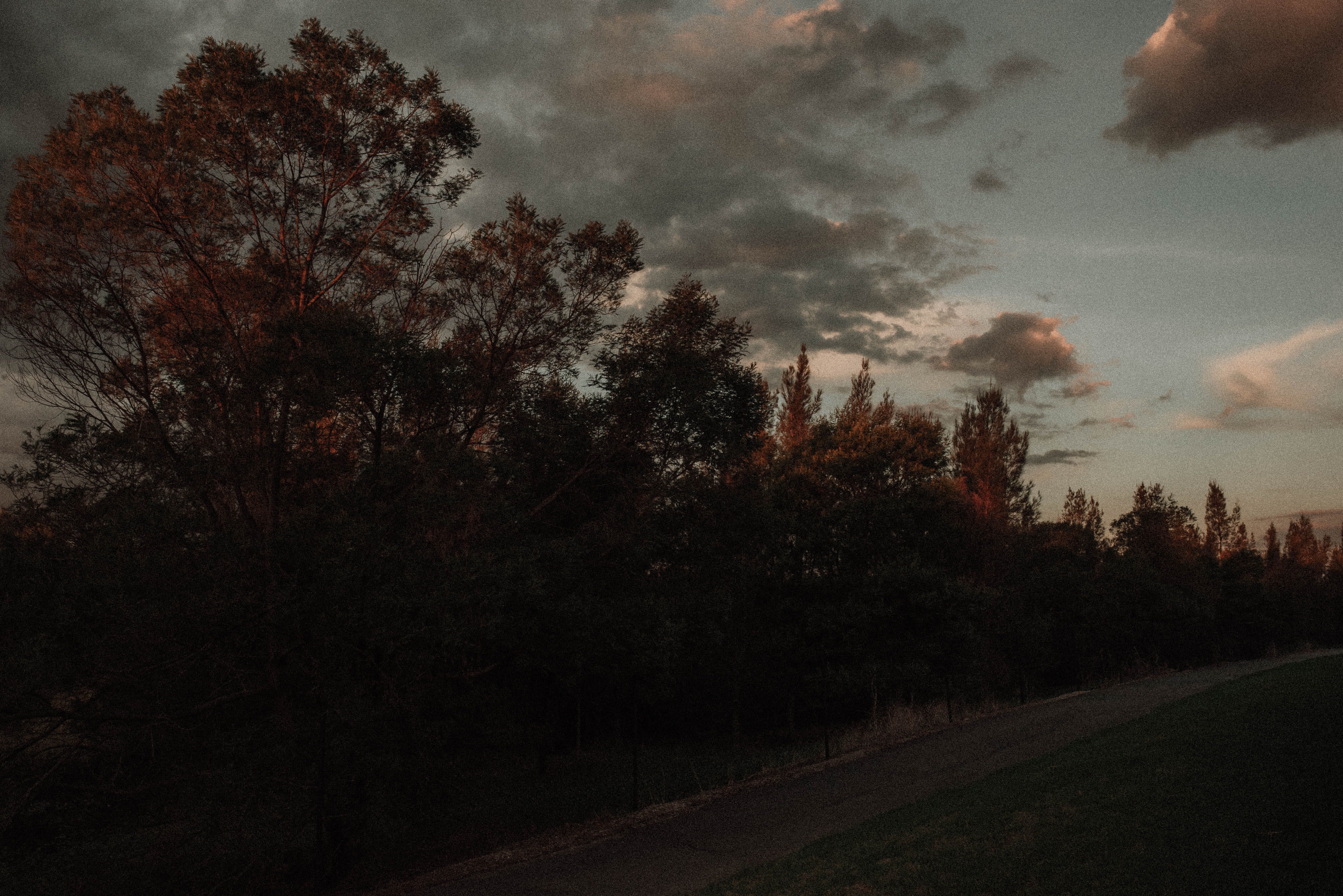 aesthetics #grunge #vintage #retro #tumblr #tree #landscape #nature K # wallpaper #h. Landscape wallpaper, Tree landscape wallpaper, Aesthetic desktop wallpaper