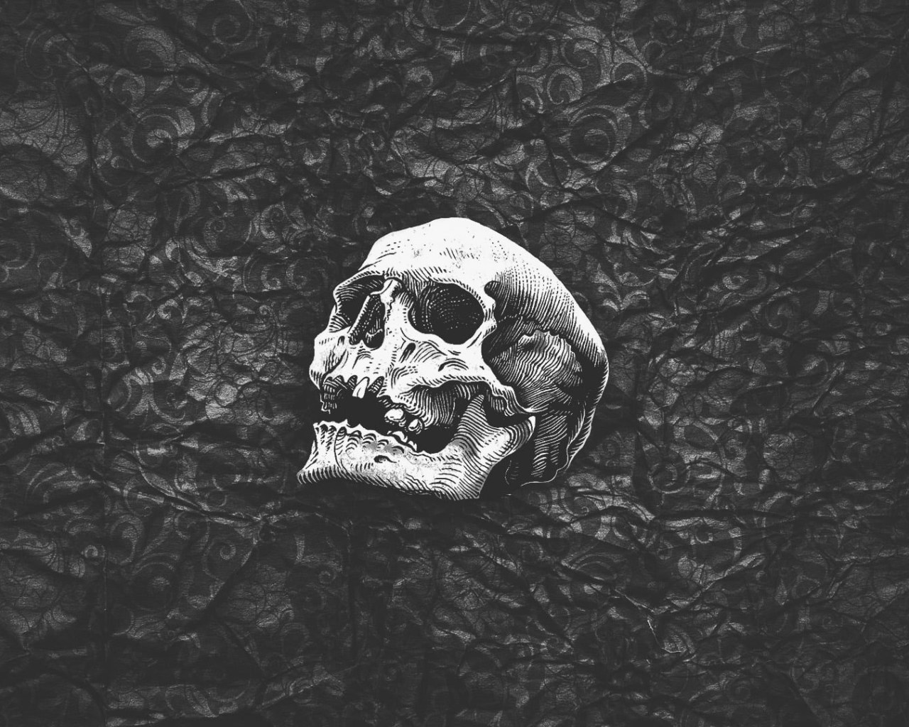 Wallpaper Human Skull Wallpaper, Black, White, Abstract • Wallpaper For You