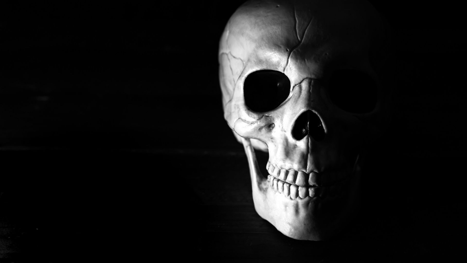 Desktop Wallpaper Human Skull, HD Image, Picture, Background, 8vipr4