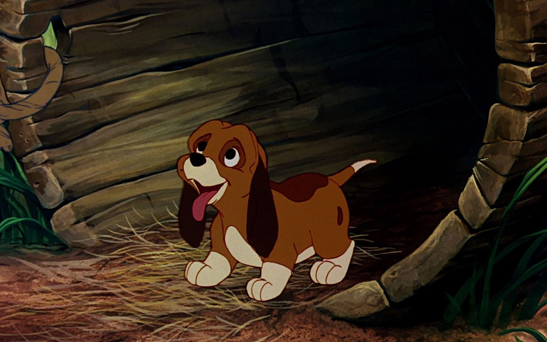 The Fox and the Hound Wallpaper