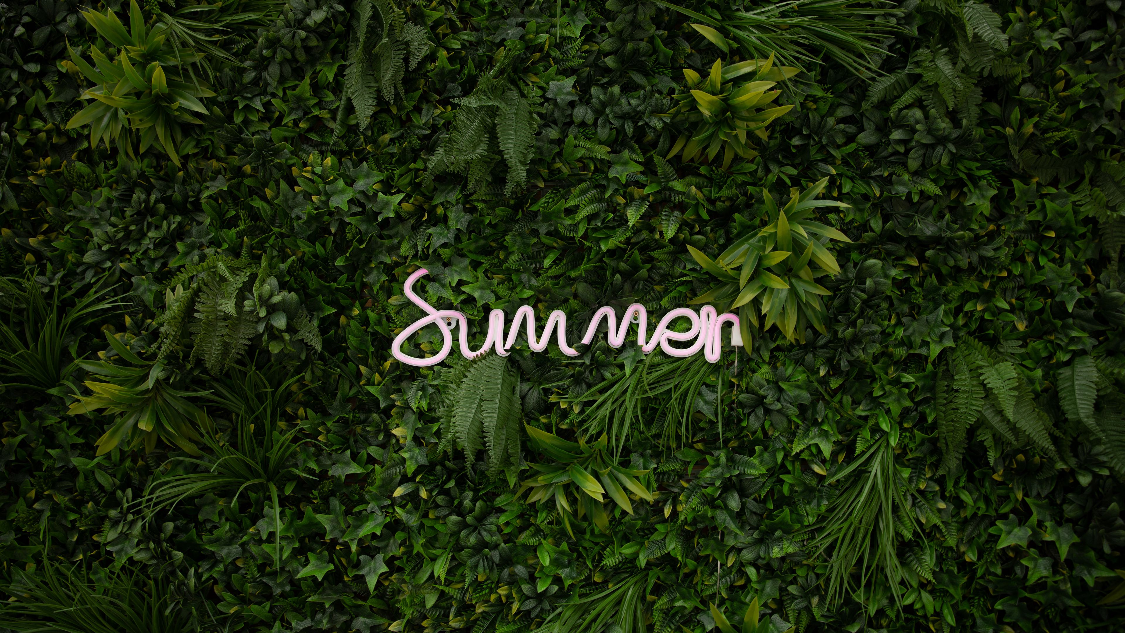 4K Summer Wallpaper for Desktop, iPad