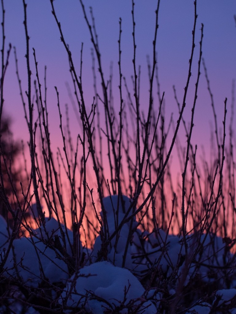 Blurry Sunset HD Wallpaper Non Retina IPad