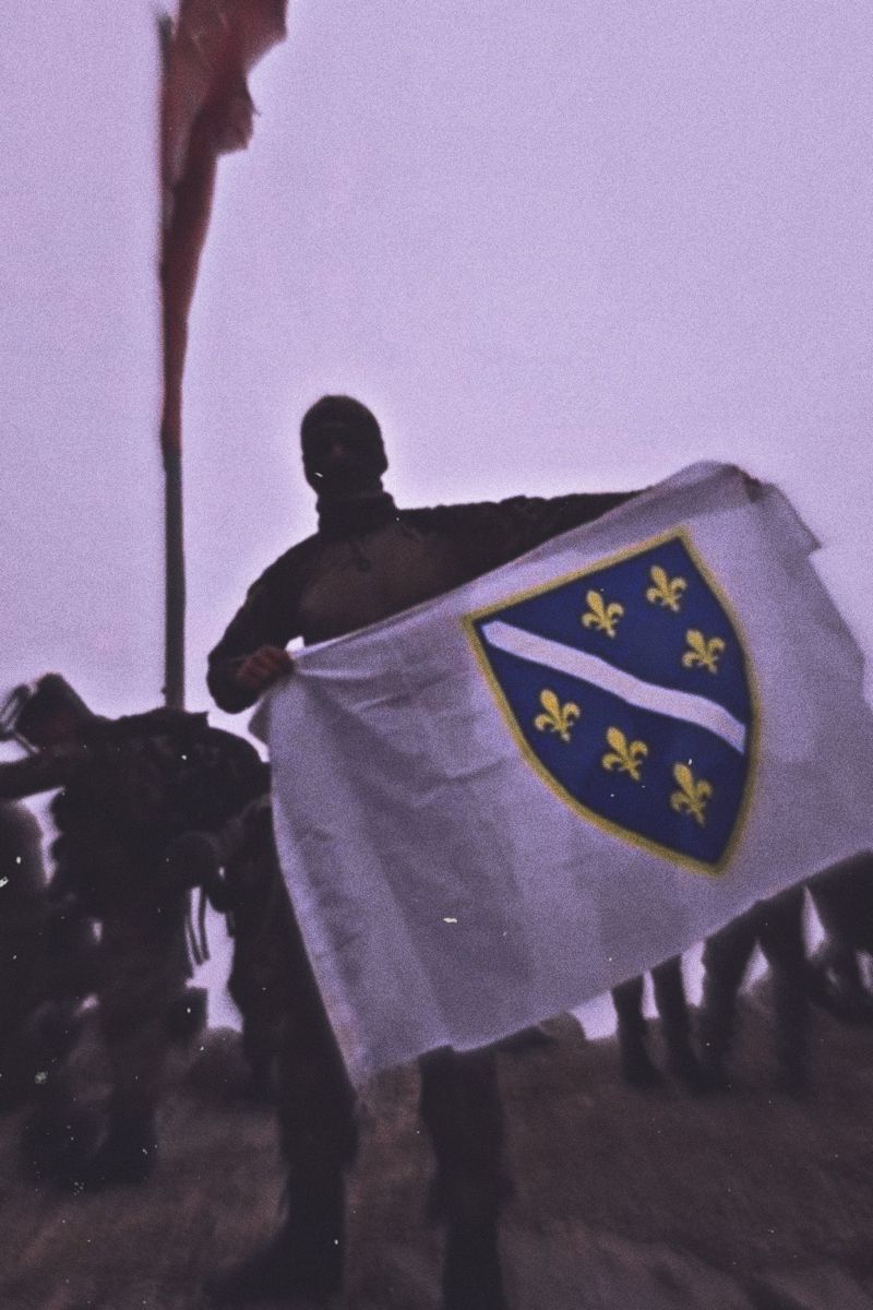 aesthetic bosnian patriot ⚜️. Bosnian flag, Herzegovina flag, Bosnia flag