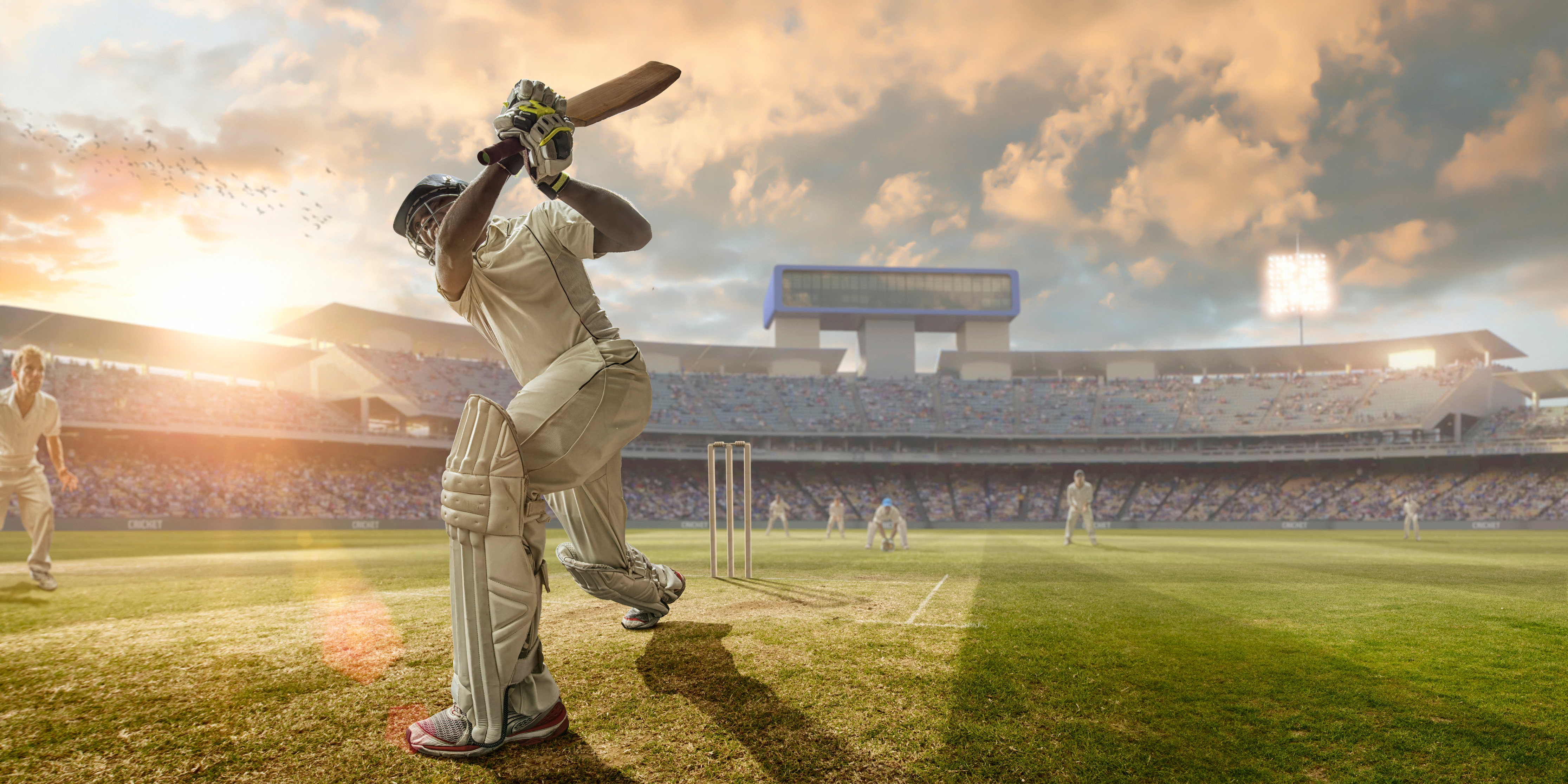 Cricket Wallpaper HD Wallpaper Download Free Image