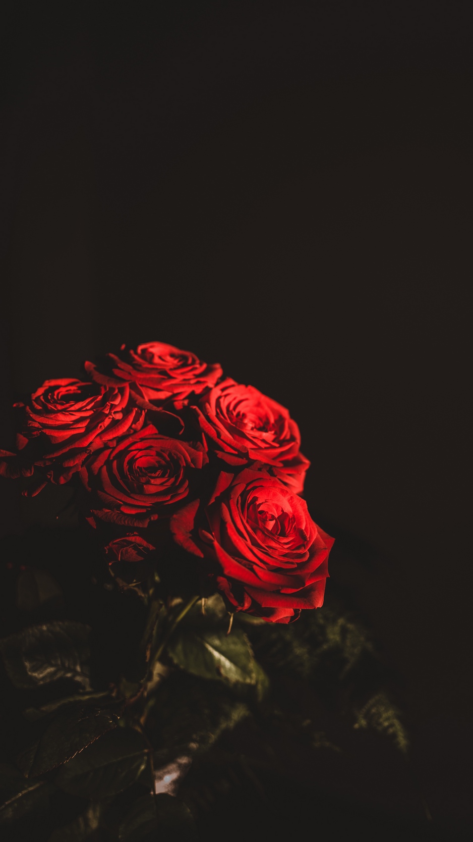 Wallpaper Roses, Bouquet, Flowers, Dark, Red Wallpaper Flower Red Black