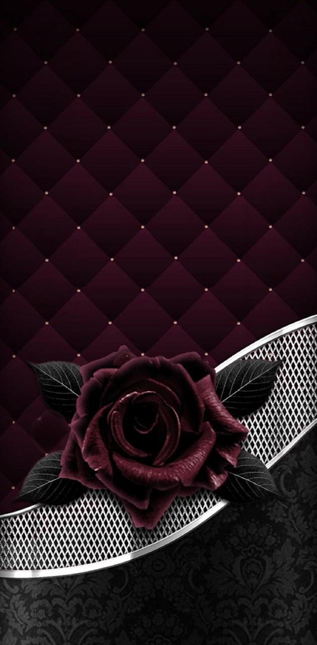 Dark red rose wallpaper